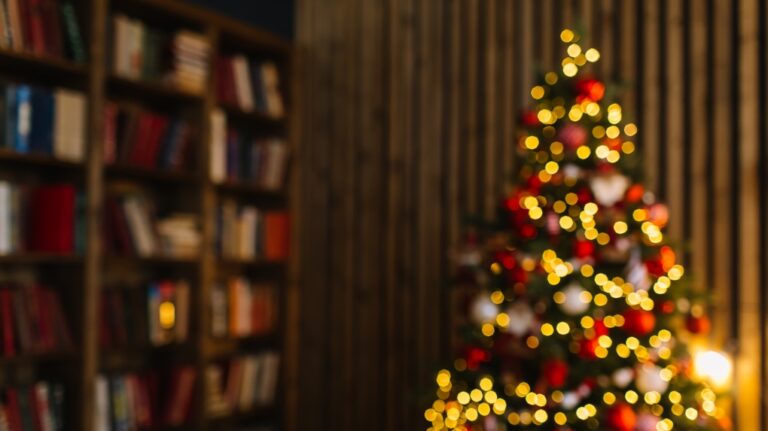 Holiday mental health suggestions | CTV News