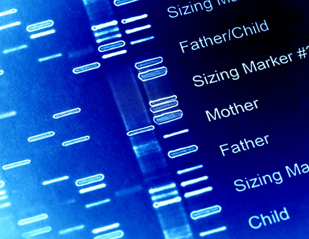 Researchers discover key gene network answerable for severe tooth enamel defects