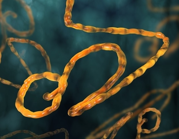 New expertise might allow speedy analysis of Ebola virus