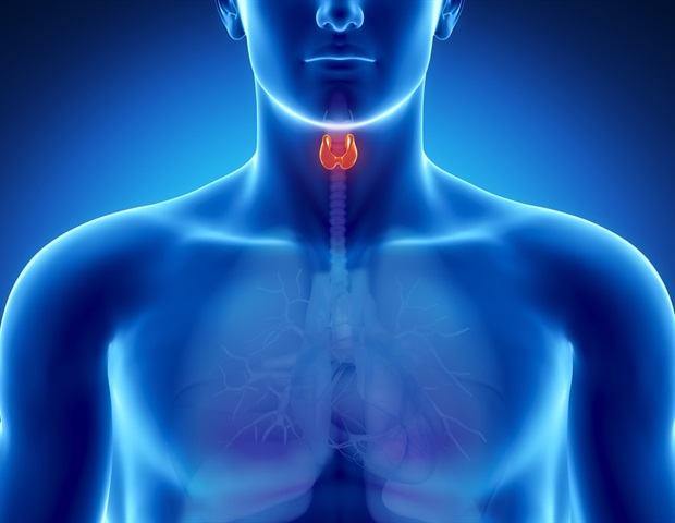 Ultrasound-based AI classifier of thyroid nodules can assist rule out most cancers, keep away from pointless biopsies