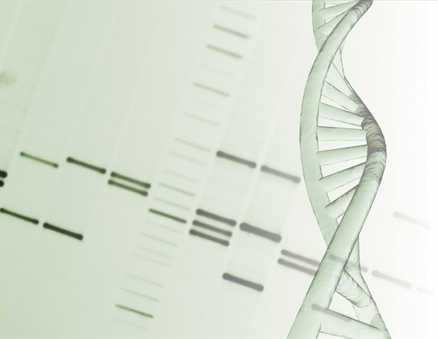 Motion of chromatin might help facilitate effective repair of DNA damage within the nucleus