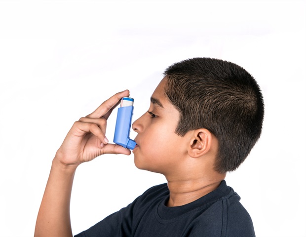 Study shows how an inflammatory molecule causes life-threatening airway damage in asthma patients