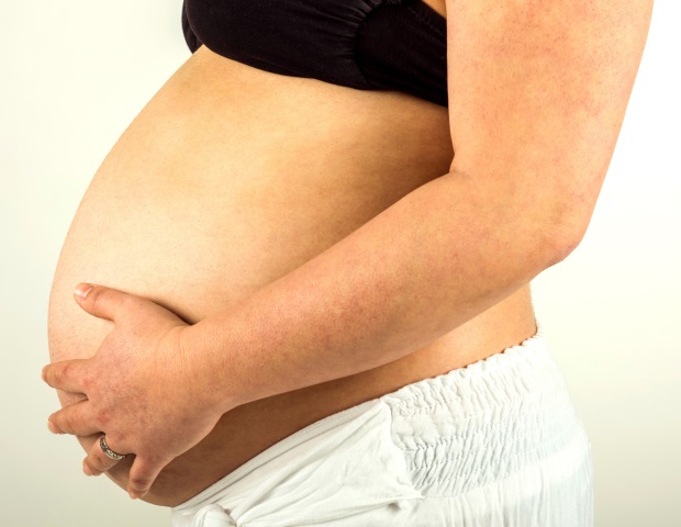 Chronic stress in being pregnant impacts fetal iron homeostasis