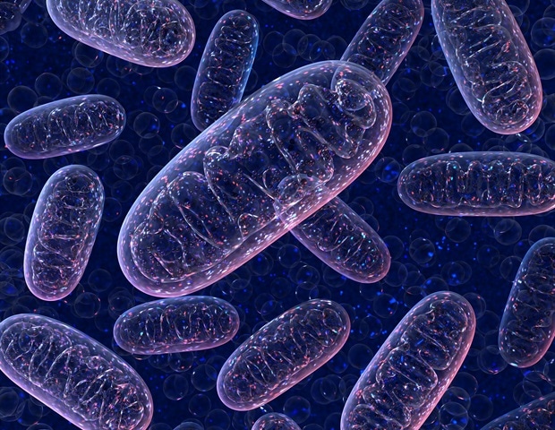 Researchers discover a previously unknown mitochondrial disease in an identical twins