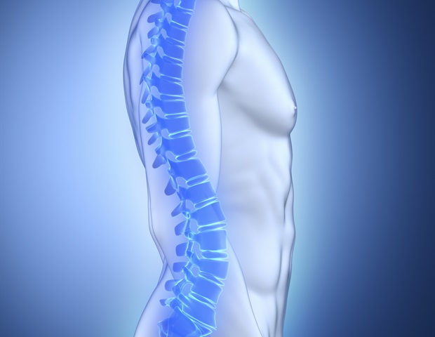 Elevated blood levels of certain chemokine linked with higher hip fracture risk in men