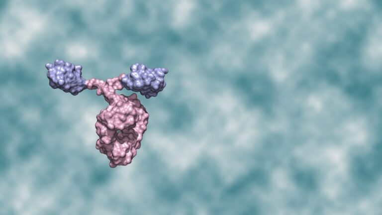 A rapid and efficient approach to identifying neutralizing nanobodies directed against SARS-CoV-2