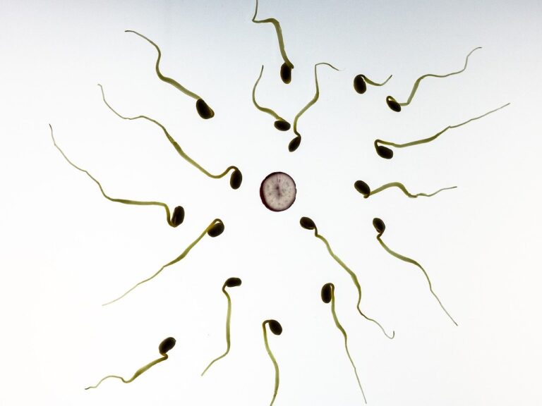 Scientists Discover Recent Protein That Helps Sperms Fuse With Egg; May Enhance Fertility Treatment