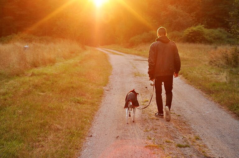 Stressed? Your Dog May Actually Be Able To Smell It In Your Breath, Sweat