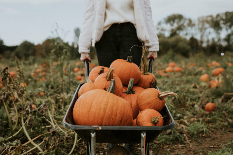 The reason why you struggle to shed some pounds in Autumn