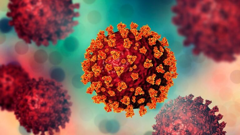 Study indicates that the main determinants of SARS-CoV-2 pathogenicity reside outside of the spike protein