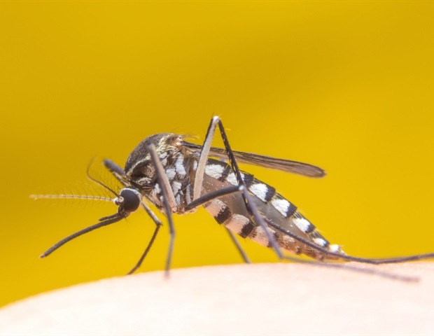 Latest tech solution to identify disease-transmitting mosquitoes