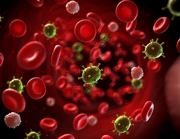 Individuals who belong to blood group Rh(D) have elevated risk of parvovirus infection