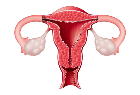 Scientists Map Cellular Changes Associated With Endometriosis