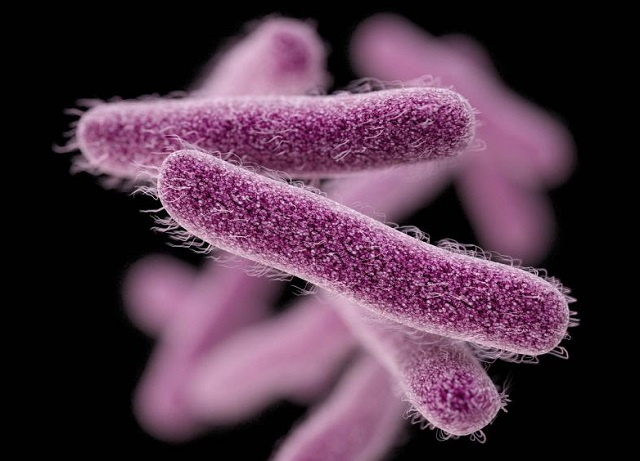 CDC Warns Of Drug-Resistant, Bloody Diarrhea-Causing Bacteria