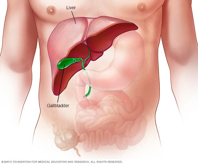 Childhood Respiratory Virus Linked To Severe Pediatric Hepatitis Outbreak In 2022: Study