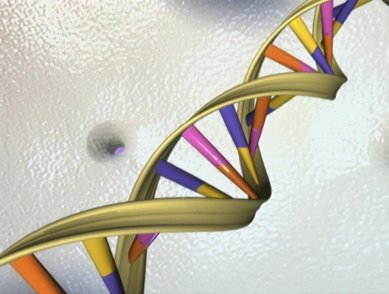 Genetic Variants Play A Role In Shaping Child’s Mathematical Skills: Study