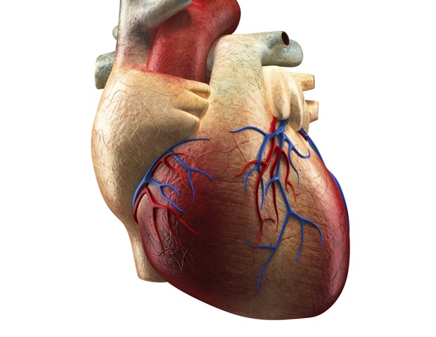 ECLS doesn’t improve survival in patients with acute myocardial infarction complicated by cardiogenic shock