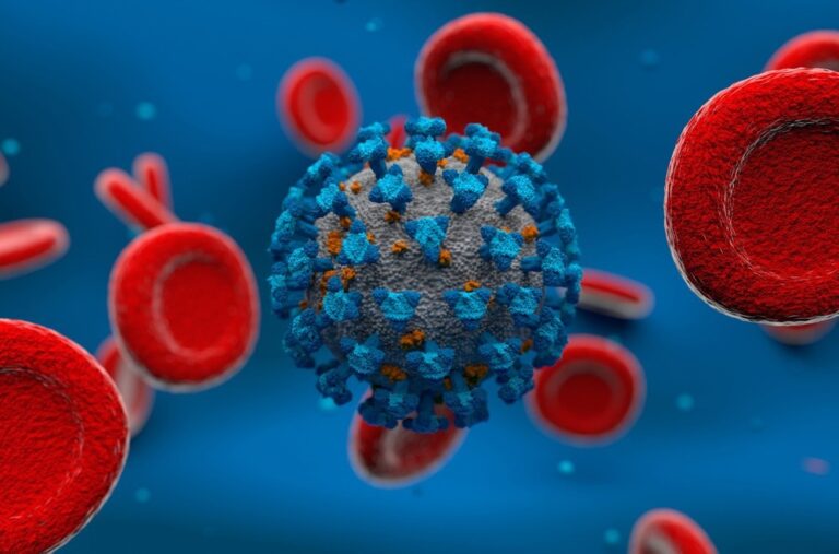 SARS-CoV-2 BA.1 and BA.2 breakthrough infections likely protect against BA.4 infection