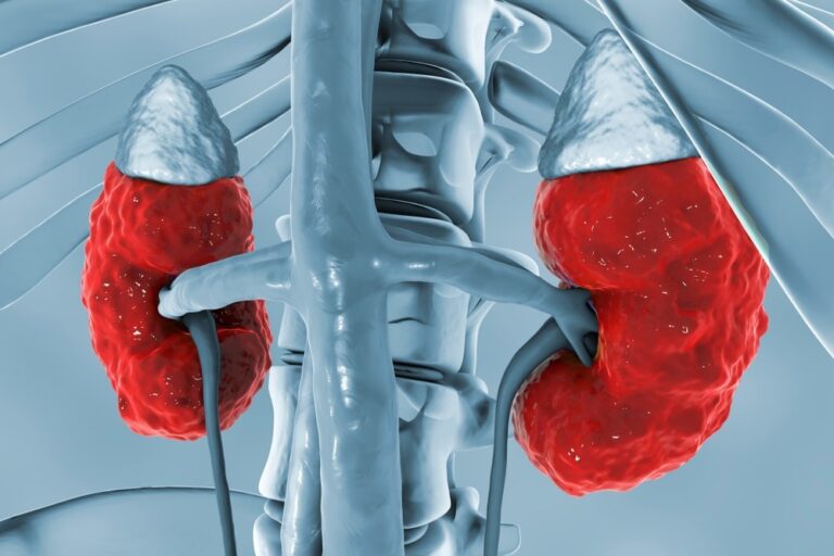 What aspects impacted the adoption of self-management behavior of patients with chronic kidney disease during COVID-19?