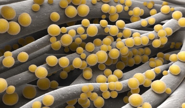 Study reveals alarming global burden of antimicrobial resistance in bacterial infections