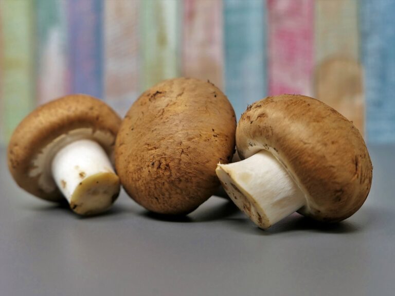 Researchers Find Mushroom Consumption Can Profit Individuals With High Blood Pressure