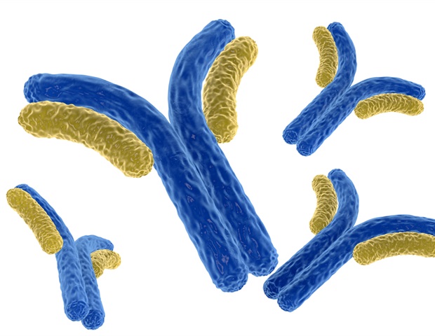 Experimental antibody treatment shows promise for stopping bone marrow transplant complication