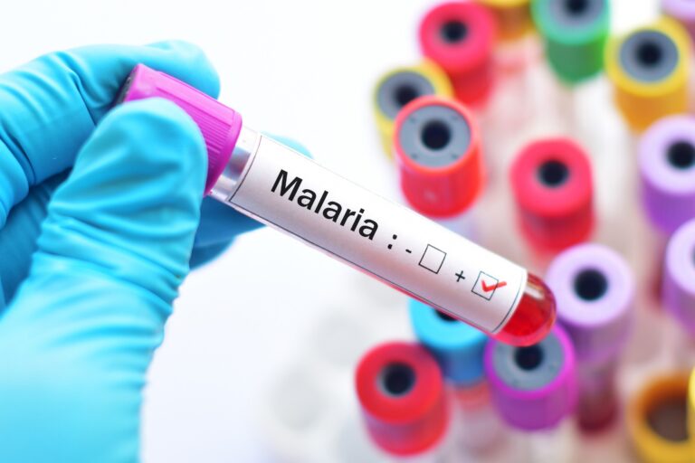 symptomatic malaria provides durable protection against reinfection