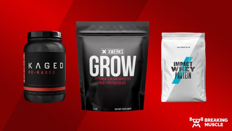 The ten Best Protein Powders for Muscle Gain (2023)