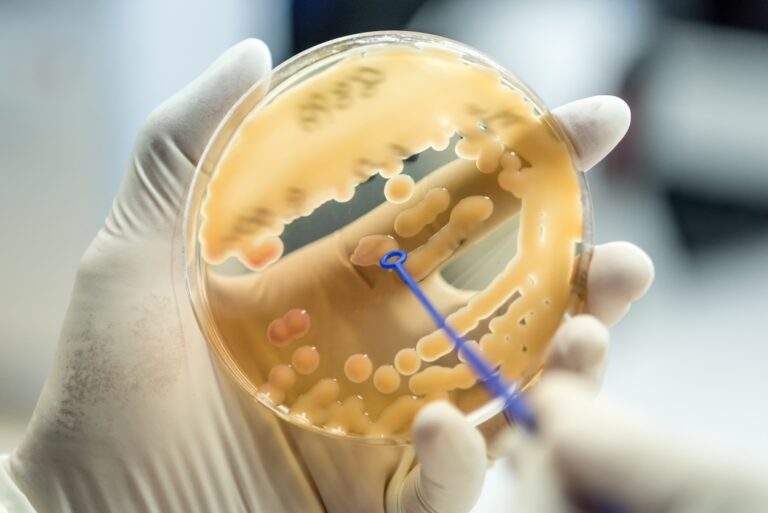 Bacteriophage cocktail can effectively disrupt Klebsiella pneumoniae biofilms on medical equipment