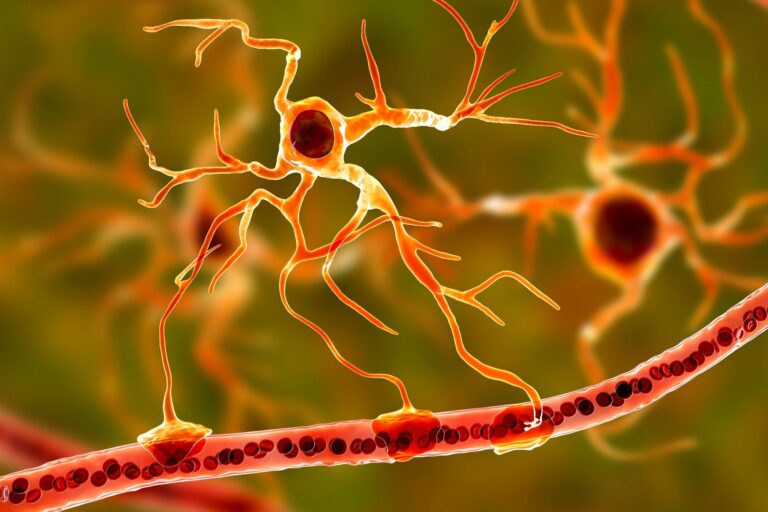 Specialized astrocyte subpopulation discovery sheds light on brain health and treatment avenues