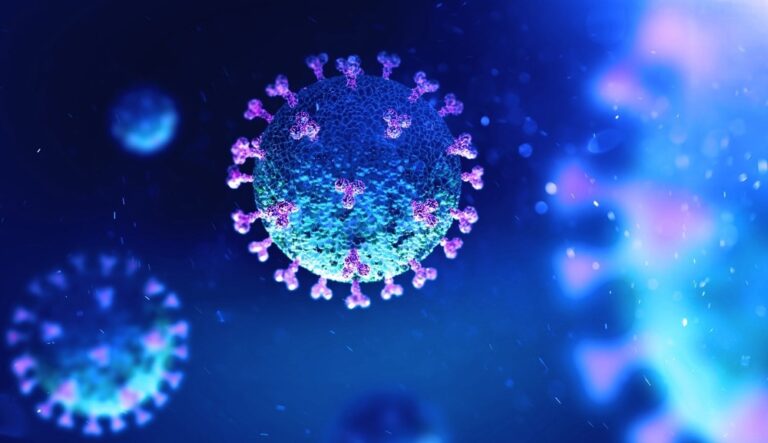 computationally designed antigen targets range of coronaviruses