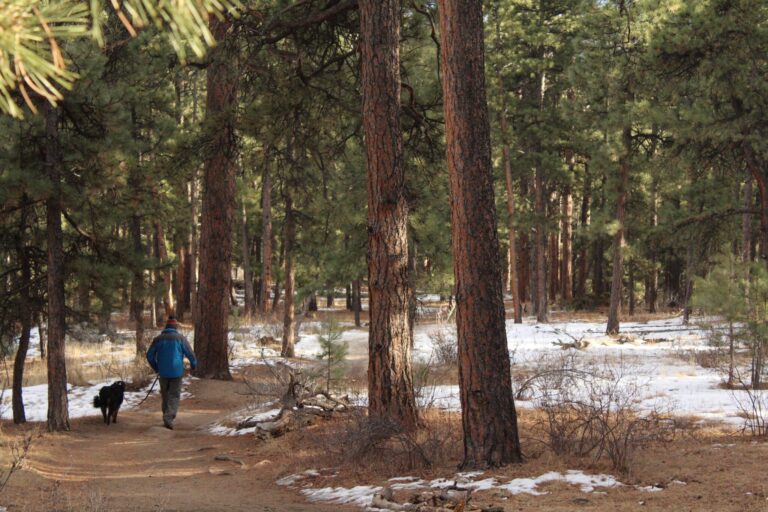 The Best Hikes in Denver